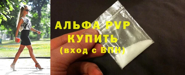 шишки Белоозёрский