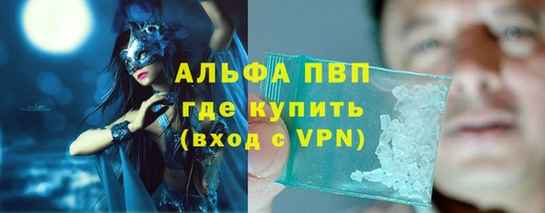 шишки Белоозёрский