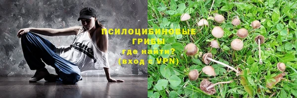 ГАЛЛЮЦИНОГЕННЫЕ ГРИБЫ Богородицк