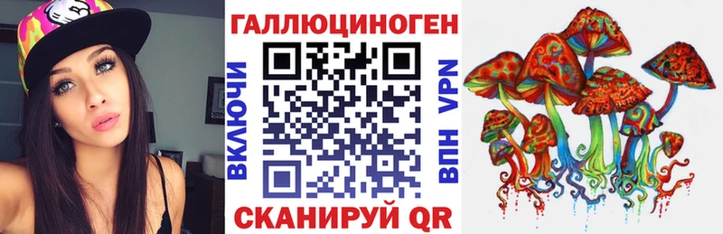 Купить где  Закаменск  Псилоцибиновые грибы Cubensis 
